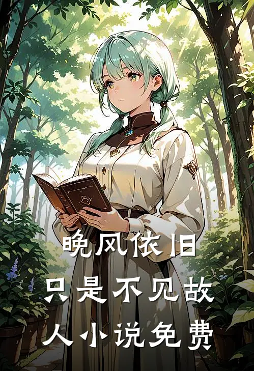 晚风依旧，只是不见故人小说免费