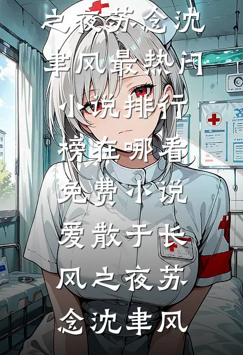 爱散于长风之夜(苏念沈聿风)最热门小说排行榜_在哪看免费小说爱散于长风之夜(苏念沈聿风)