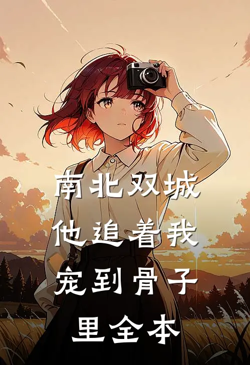 南北双城，他追着我宠到骨子里全本