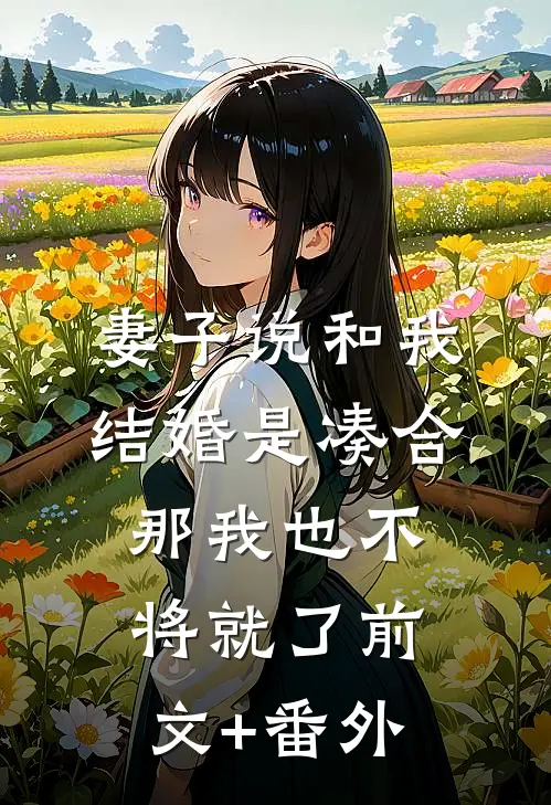 妻子说和我结婚是凑合，那我也不将就了前文+番外