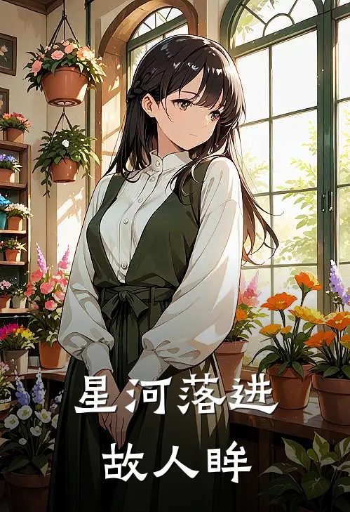 星河落进故人眸txt