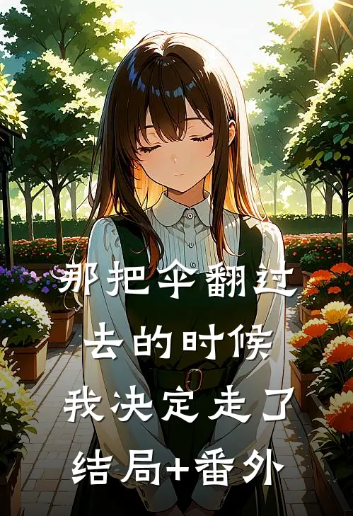 那把伞翻过去的时候，我决定走了结局+番外
