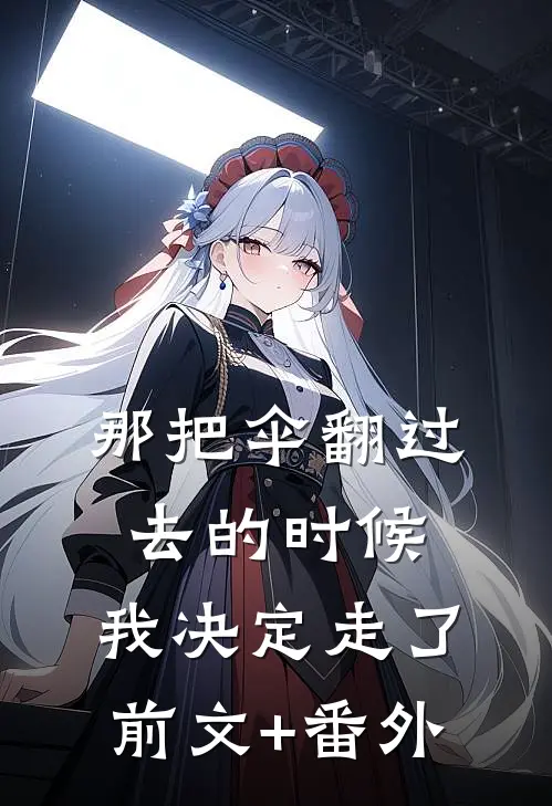 那把伞翻过去的时候，我决定走了前文+番外