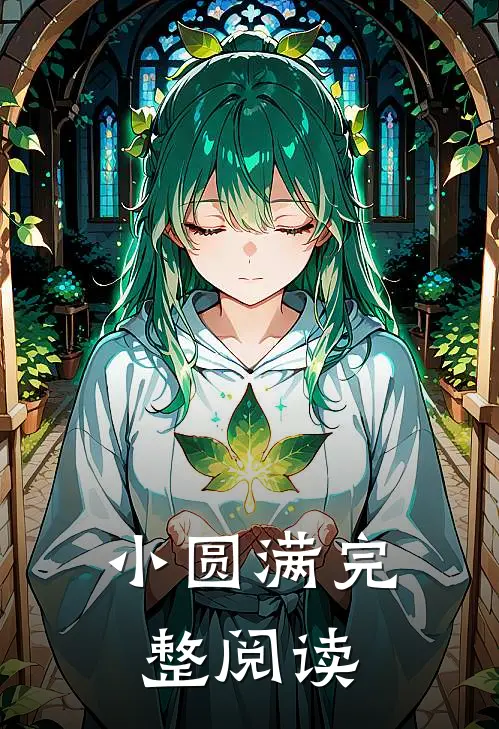 小圆满完整阅读