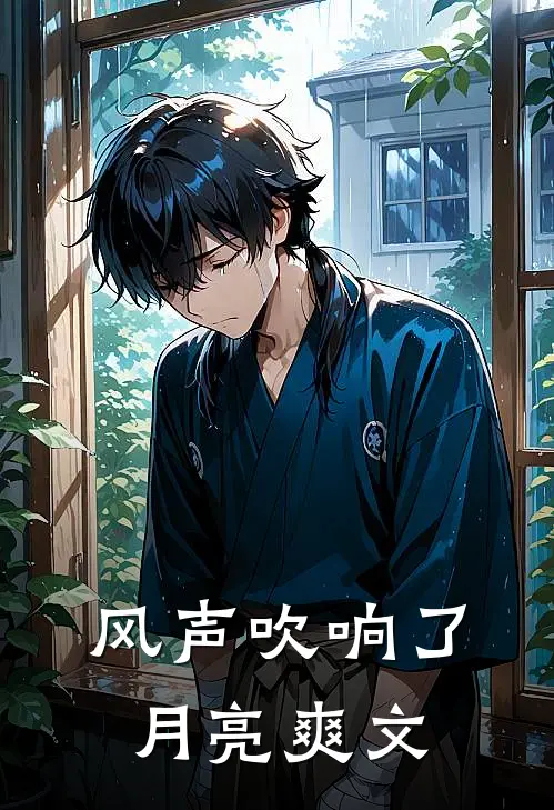 风声吹响了月亮爽文