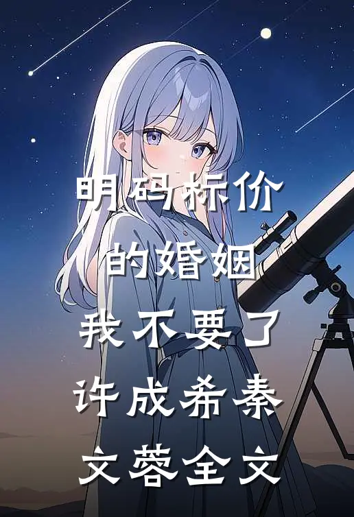 明码标价的婚姻，我不要了许成希秦文蓉全文