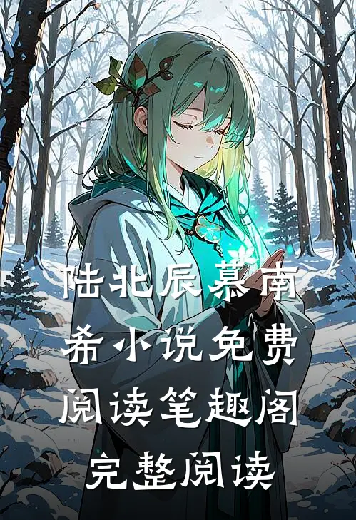 陆北辰慕南希小说免费阅读笔趣阁完整阅读