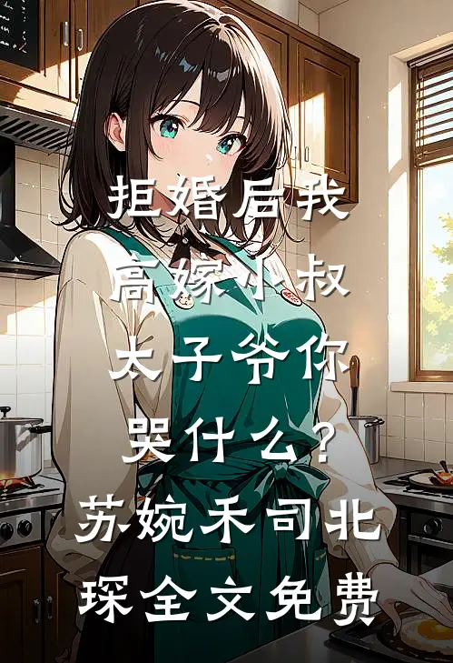 拒婚后我高嫁小叔，太子爷你哭什么？苏婉禾司北琛全文免费