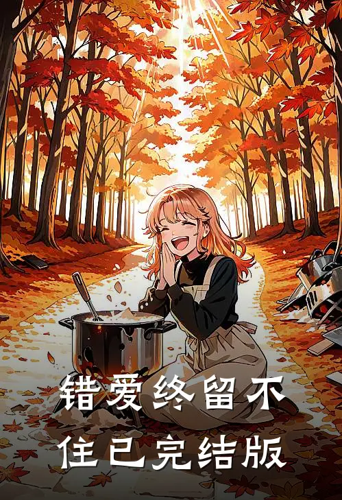 错爱终留不住已完结版