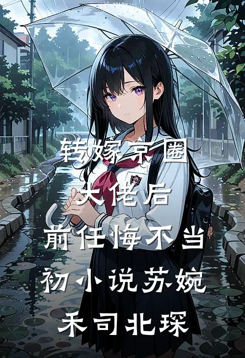 转嫁京圈大佬后，前任悔不当初小说苏婉禾司北琛