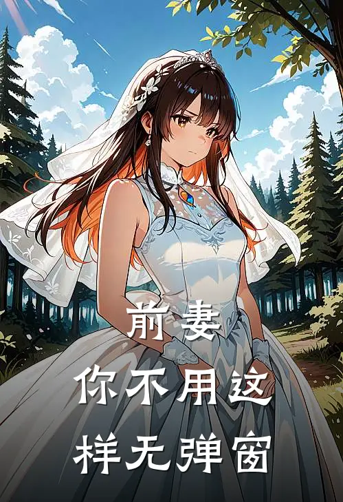 前妻,你不用这样无弹窗阅读