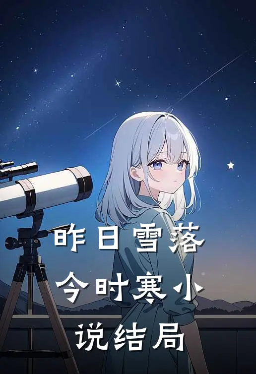 昨日雪落今时寒小说结局