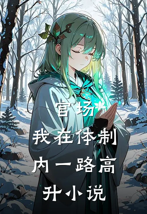 官场：我在体制内一路高升小说