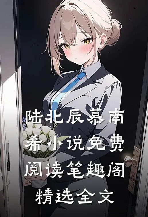 陆北辰慕南希小说免费阅读笔趣阁精选全文