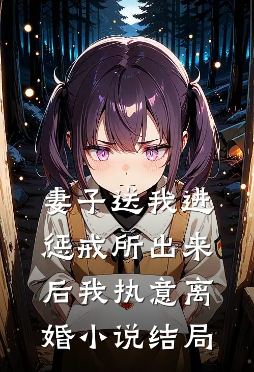 妻子送我进惩戒所出来后我执意离婚小说结局