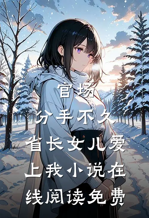 官场：分手不久，省长女儿爱上我小说在线阅读免费