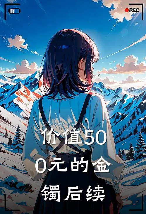 价值500元的金镯后续