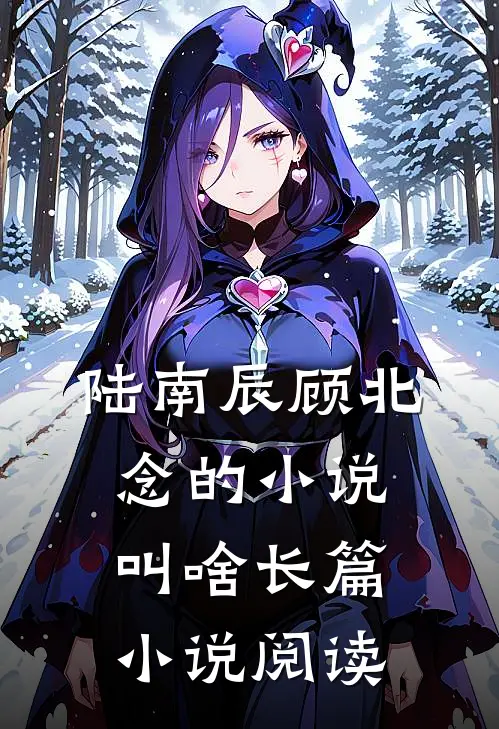 陆南辰顾北念的小说叫啥长篇小说阅读