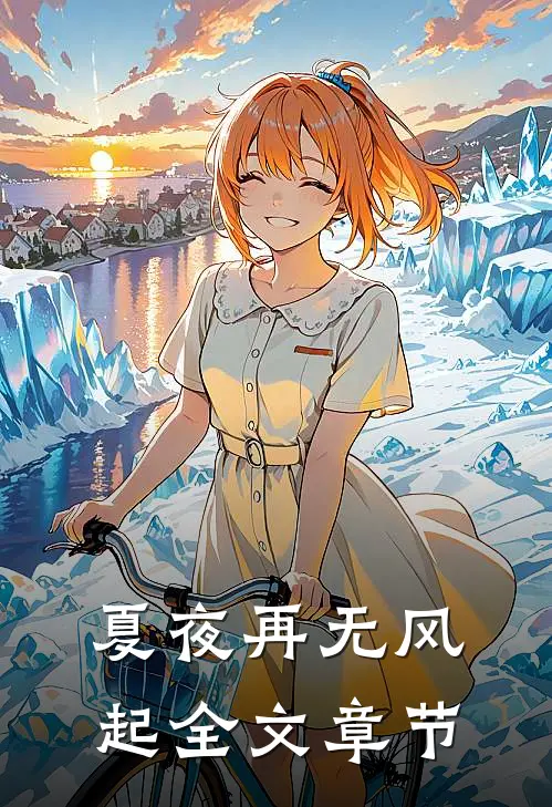 夏夜再无风起全文章节