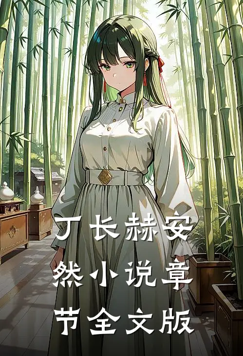 丁长赫安然小说章节全文版