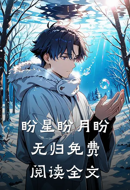 盼星盼月盼无归免费阅读全文