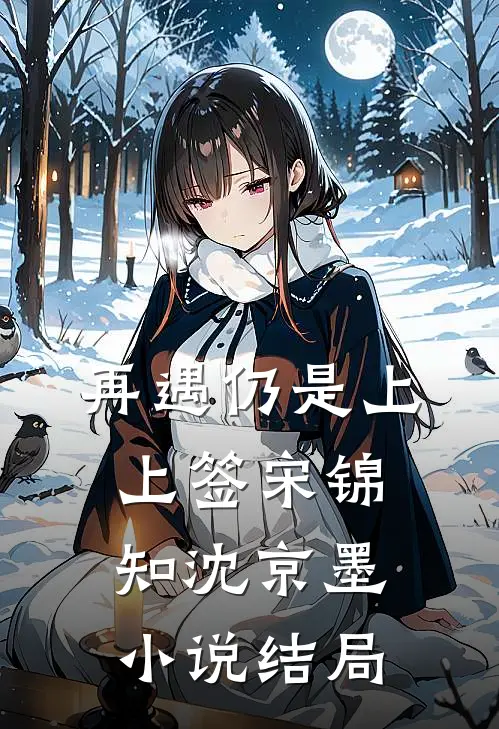 再遇仍是上上签宋锦知沈京墨小说结局