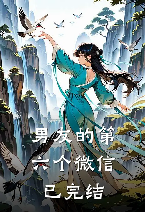 男友的第六个微信已完结