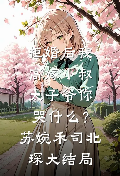 拒婚后我高嫁小叔，太子爷你哭什么？苏婉禾司北琛大结局