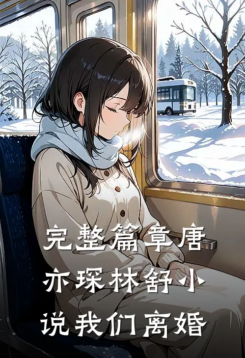 完整篇章唐亦琛林舒小说我们离婚