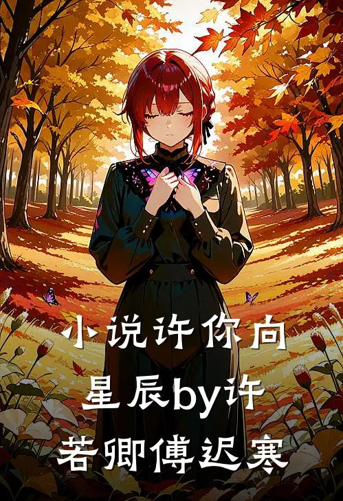 小说许你向星辰by许若卿傅迟寒