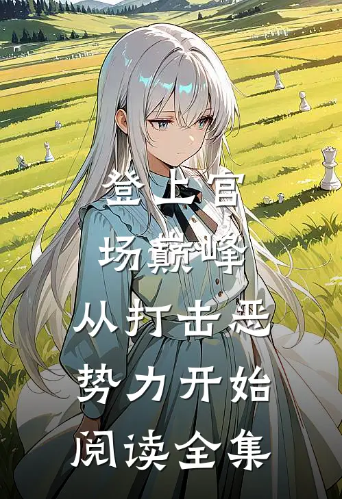 登上官场巅峰，从打击恶势力开始阅读全集
