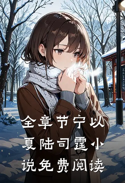 全章节宁以夏陆司霆小说免费阅读
