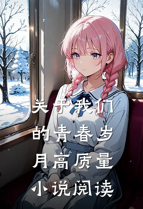 关于我们的青春岁月高质量小说阅读