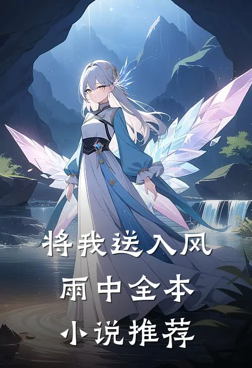 将我送入风雨中全本小说推荐