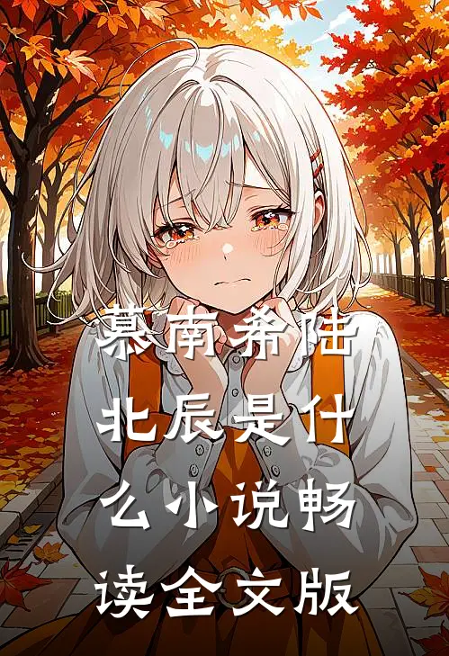 慕南希陆北辰是什么小说畅读全文版