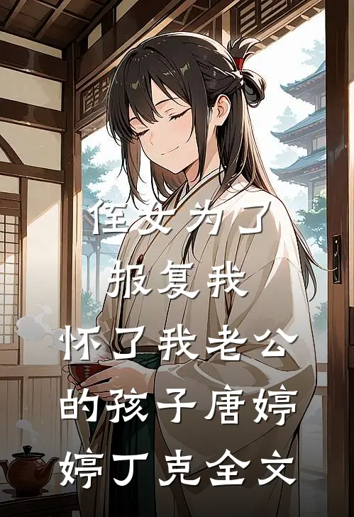 侄女为了报复我，怀了我老公的孩子唐婷婷丁克全文
