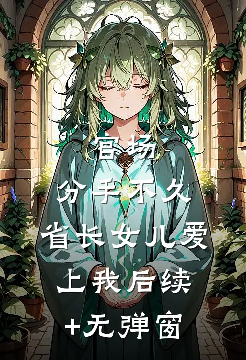 官场：分手不久，省长女儿爱上我后续+无弹窗
