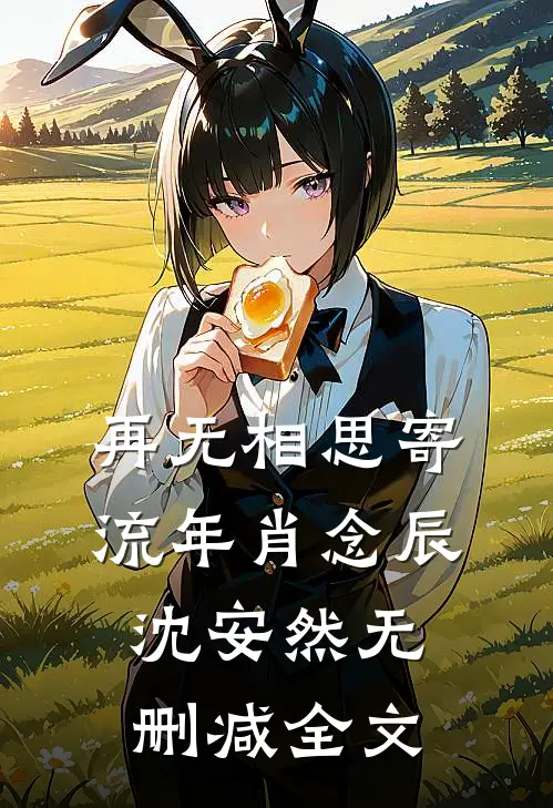 再无相思寄流年肖念辰沈安然无删减全文