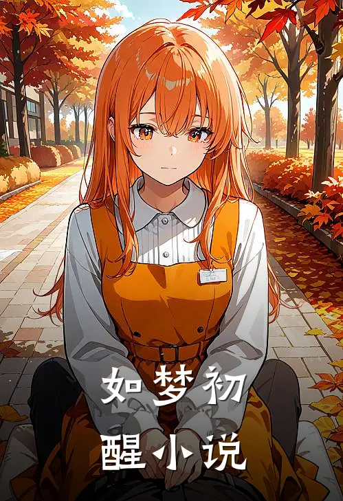 如梦初醒小说