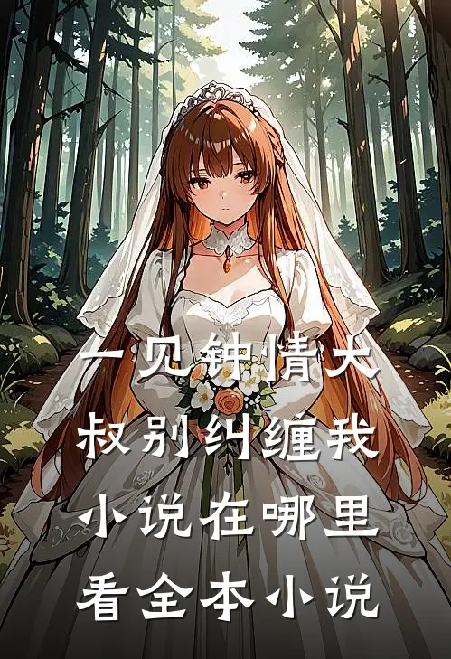 一见钟情大叔别纠缠我小说在哪里看全本小说