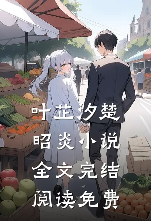 叶芷汐楚昭炎小说名