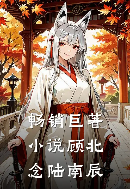 畅销巨著小说顾北念陆南辰