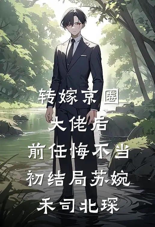 转嫁京圈大佬后，前任悔不当初结局苏婉禾司北琛