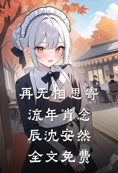 再无相思寄流年肖念辰沈安然全文免费