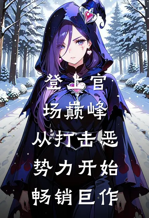 登上官场巅峰，从打击恶势力开始畅销巨作