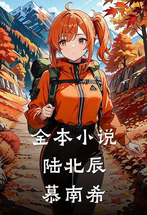 全本小说陆北辰,慕南希