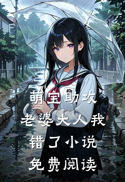 萌宝助攻老婆大人我错了免费阅读全文
