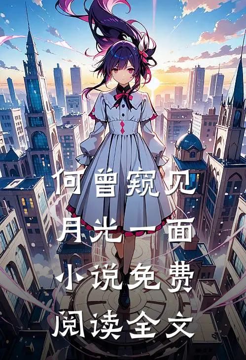何曾窥见月光一面小说免费阅读全文