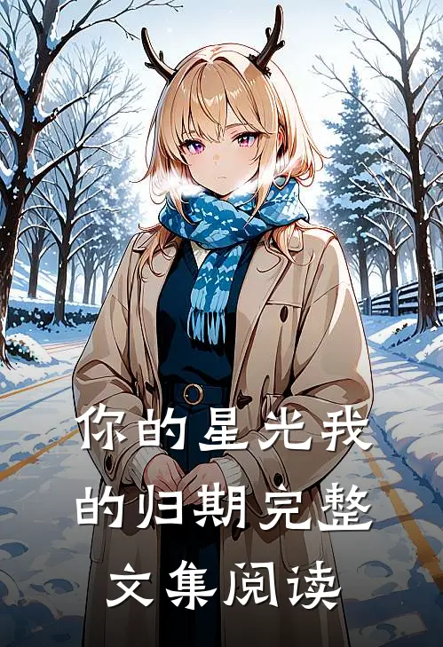 你的星光我的归期完整文集阅读