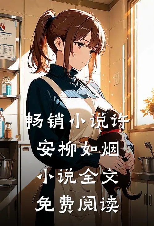 畅销小说许安柳如烟小说全文免费阅读